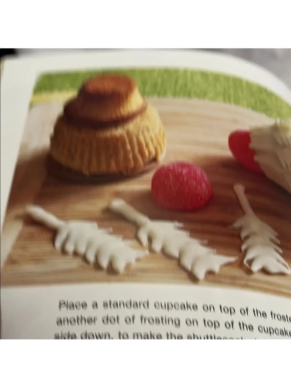 What's New, Cupcake Cook Book